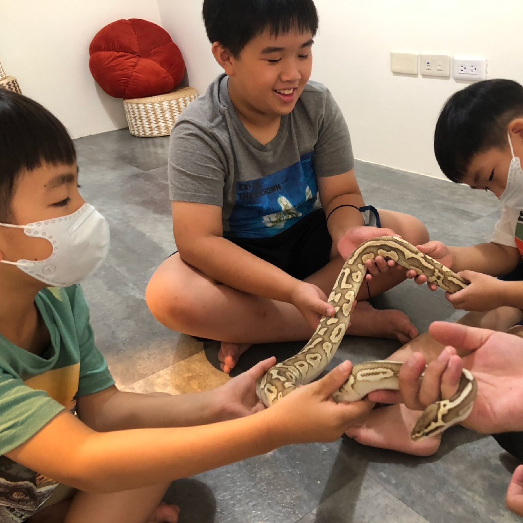 斯內克博士的實驗室｜親子自然體驗課