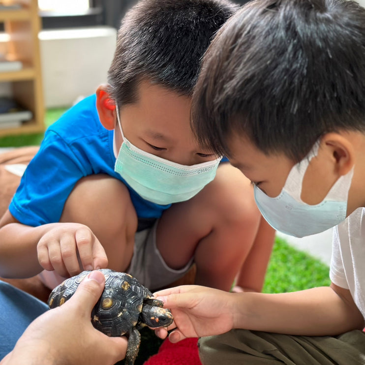 我的龜密日記｜親子自然體驗課