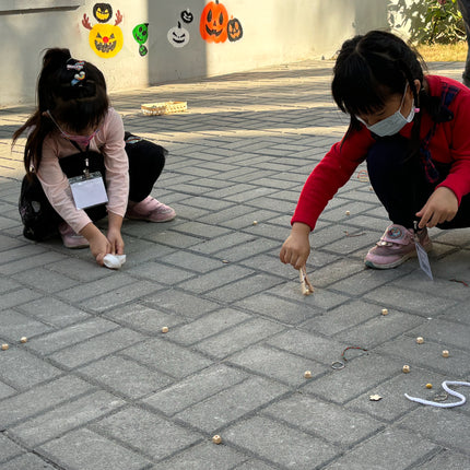 丸子蟲的冒險｜親子自然體驗課