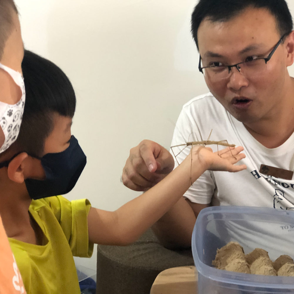 昆蟲新世界｜親子自然體驗課