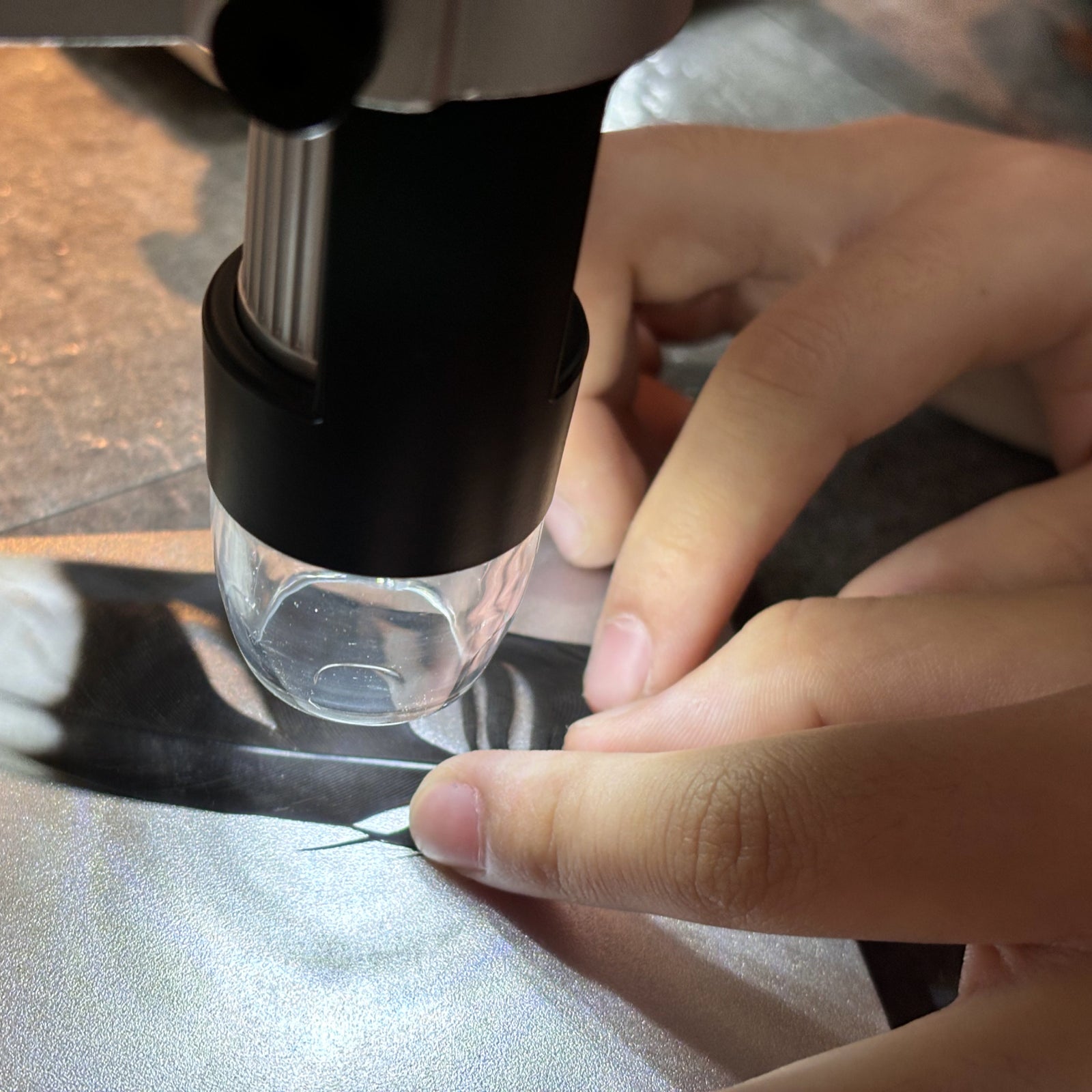 達爾文的鳥朋友(標本課)｜親子自然體驗課